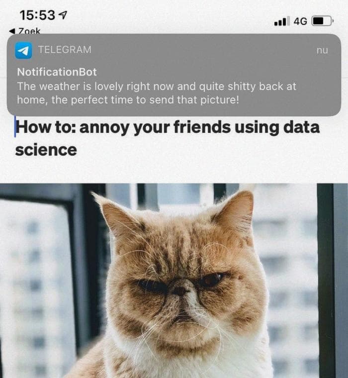 Perfect! The Telegram notification works and you’ll never miss an opportunity to annoy your friends anymore