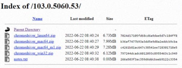 Извлечение данных из Интернета с помощью Selenium