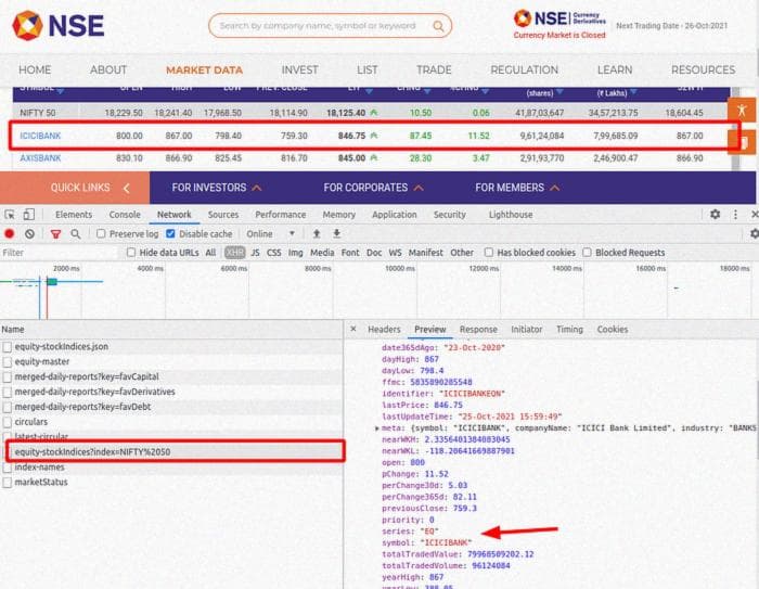 Снимок экрана NSE с открытыми инструментами разработчика