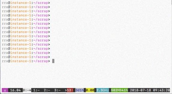 интерфейс byobu, вы можете создавать отдельные вкладки и выполнять несколько кодов одновременно