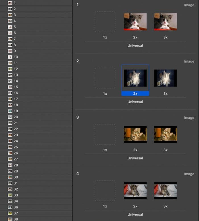 Asset catalog after copying all the images (I didn’t generate 1x image for this)