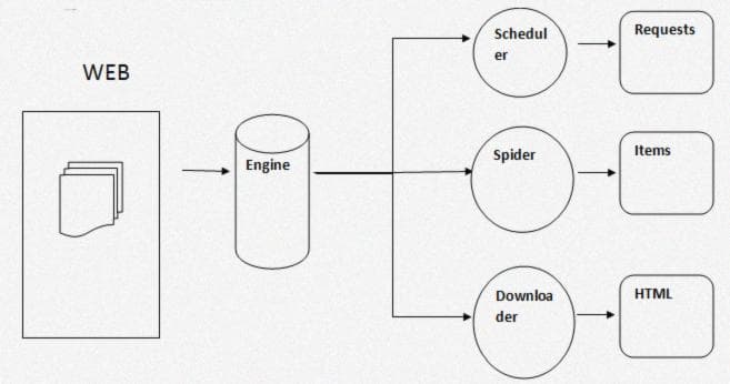 Scrapy Workflow